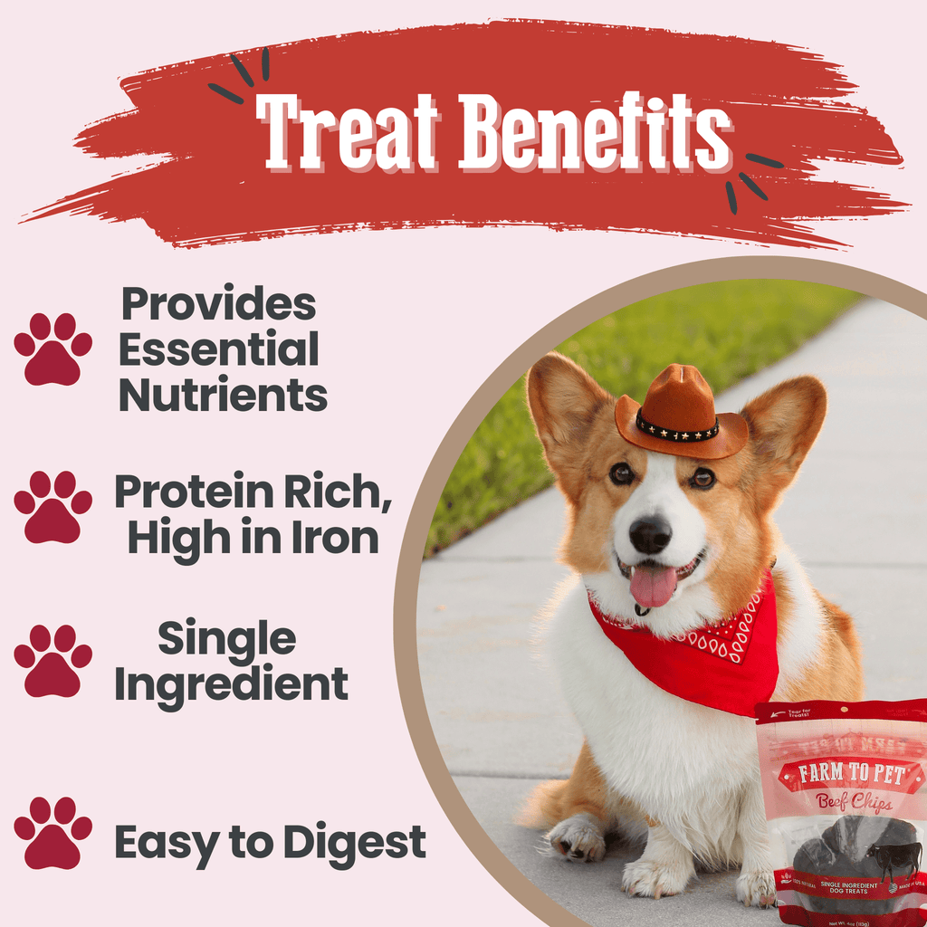 Beef Chips Dog Treats
