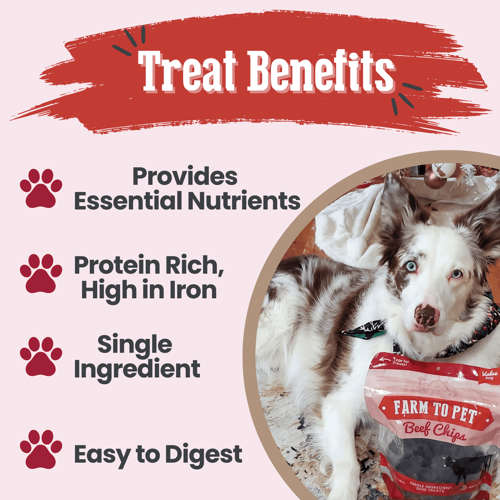 Beef Chips Dog Treats