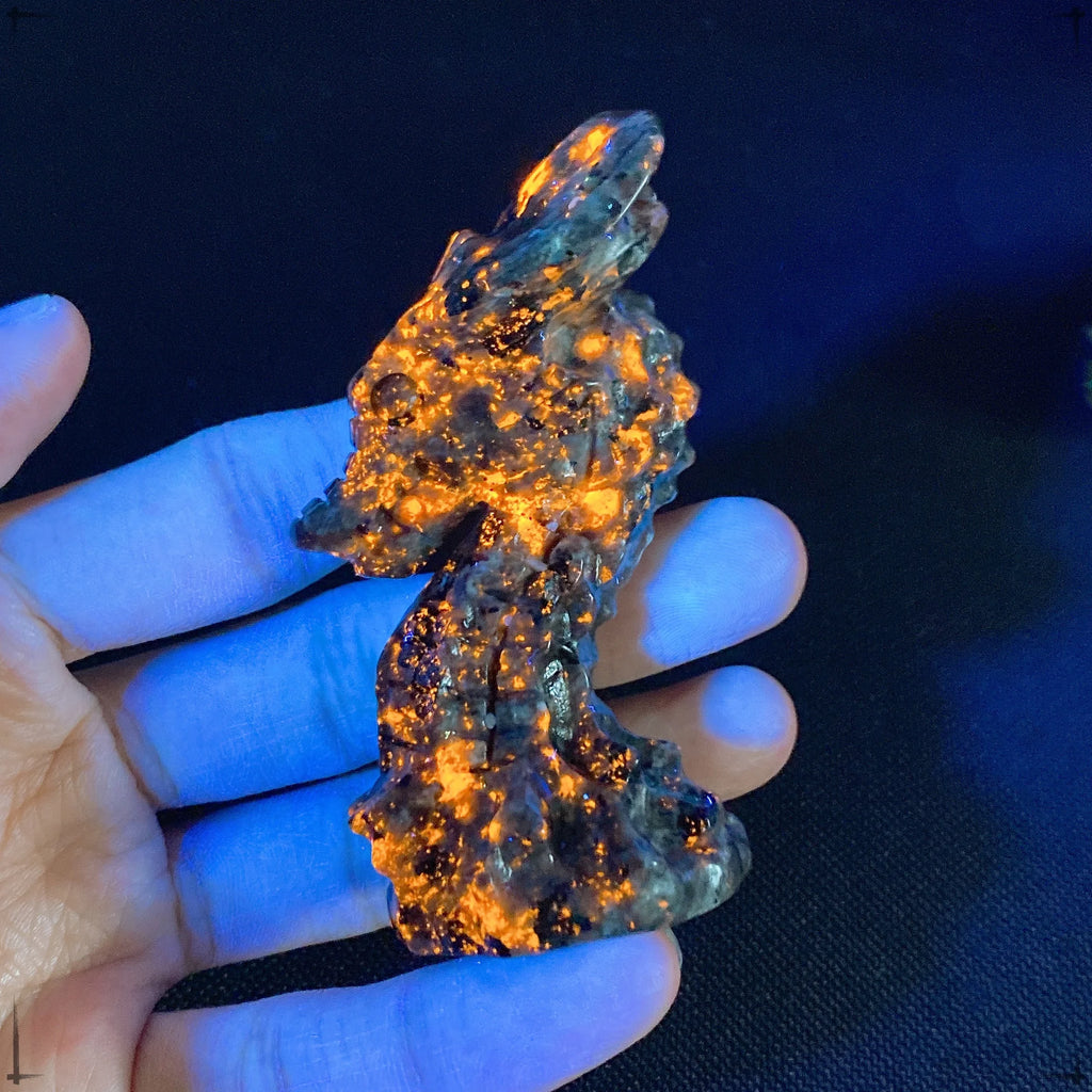 Natural Yooperlite Crystal Quartz Dragon Head Hand Carved